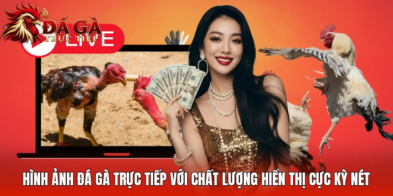 Hình ảnh daga trực tiếp với chất lượng hiển thị cực kỳ nét