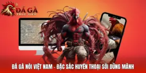 Đá Gà Nòi Việt Nam - Đặc Sắc Huyền Thoại Sới Dũng Mãnh