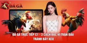 Đá Gà Trực Tiếp C1 3 Cách Đọc Vị Trận Đấu Tránh Bẫy Kèo