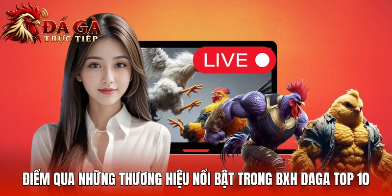 Điểm qua những thương hiệu nổi bật trong BXH Daga Top 10