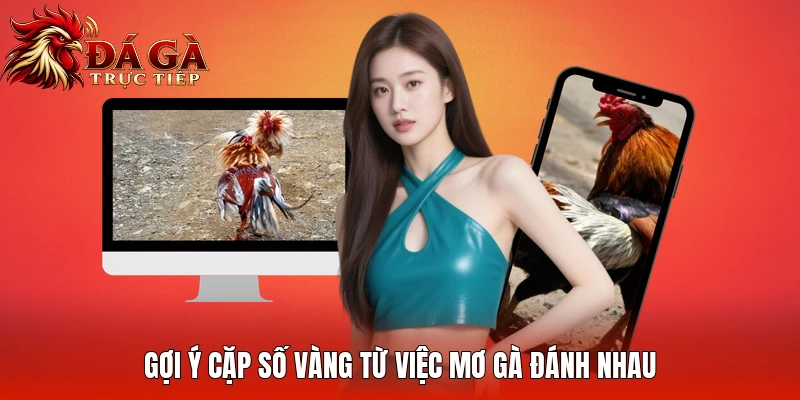 Gợi ý cặp số vàng từ việc mơ gà đánh nhau
