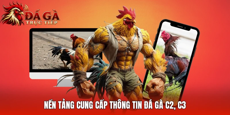 Nền tảng cung cấp thông tin Đá gà C2, C3
