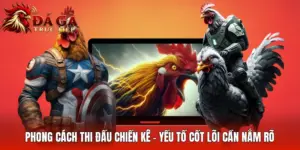 Phong Cách Thi Đấu Chiến Kê - Yếu Tố Cốt Lõi Cần Nắm Rõ
